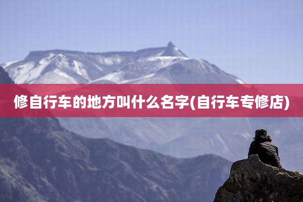修自行车的地方叫什么名字(自行车专修店)
