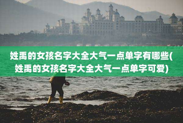 姓禹的女孩名字大全大气一点单字有哪些(姓禹的女孩名字大全大气一点单字可爱)