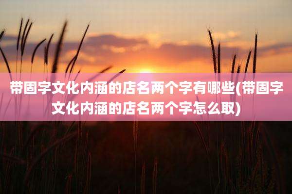 带固字文化内涵的店名两个字有哪些(带固字文化内涵的店名两个字怎么取)