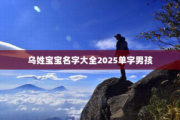 乌姓宝宝名字大全2025单字男孩