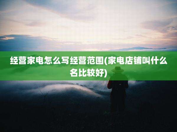 经营家电怎么写经营范围(家电店铺叫什么名比较好)