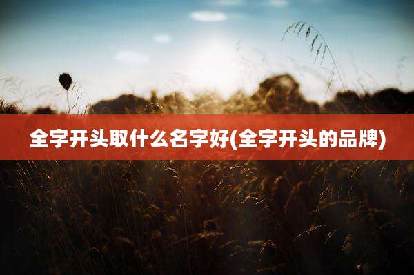 全字开头取什么名字好(全字开头的品牌)
