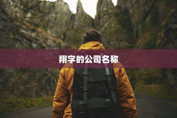 翔字的公司名称