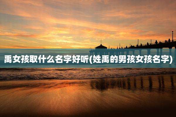 禹女孩取什么名字好听(姓禹的男孩女孩名字)