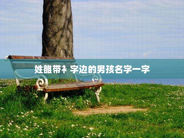 姓雒带衤字边的男孩名字一字