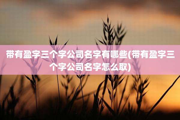 带有盈字三个字公司名字有哪些(带有盈字三个字公司名字怎么取)