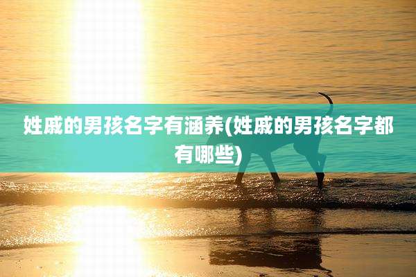 姓戚的男孩名字有涵养(姓戚的男孩名字都有哪些)