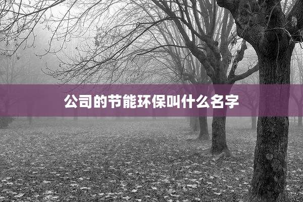 公司的节能环保叫什么名字