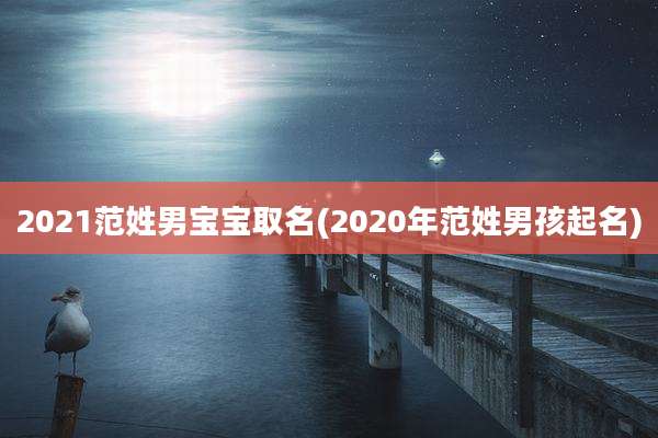 2021范姓男宝宝取名(2020年范姓男孩起名)
