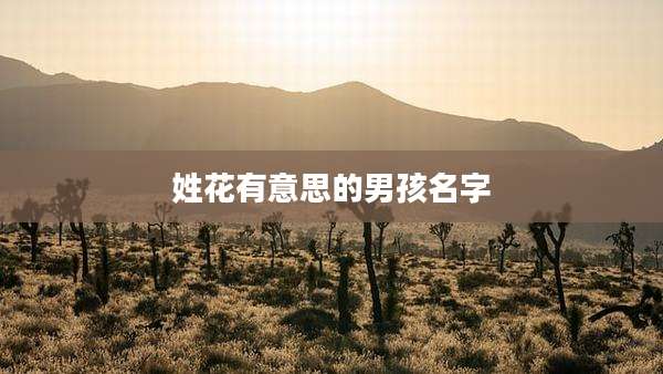 姓花有意思的男孩名字