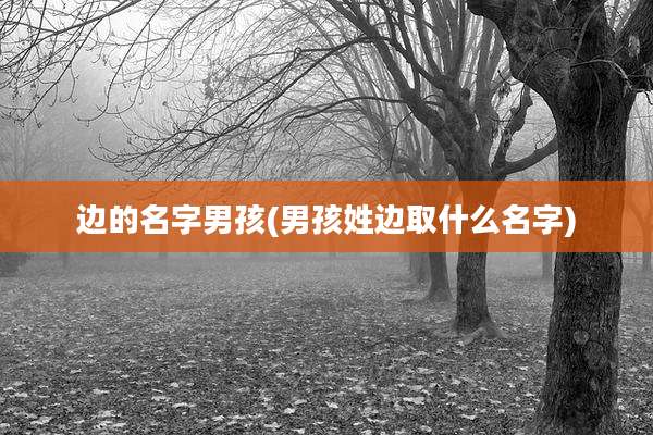 边的名字男孩(男孩姓边取什么名字)