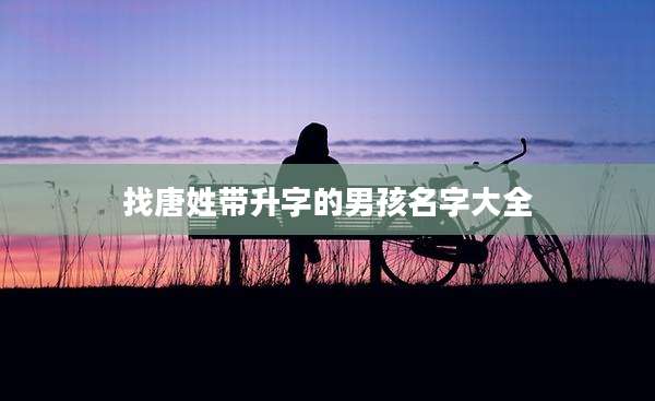 找唐姓带升字的男孩名字大全