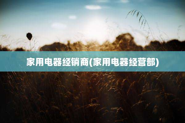 家用电器经销商(家用电器经营部)