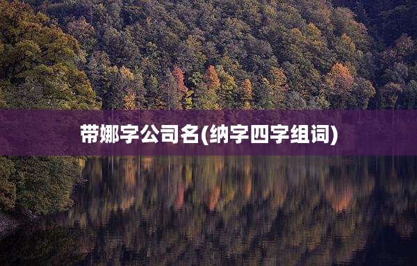 带娜字公司名(纳字四字组词)