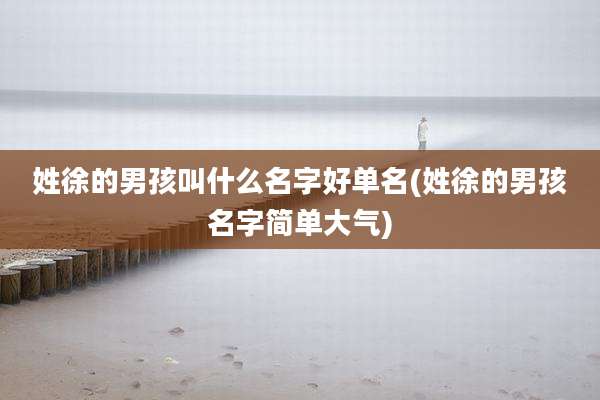 姓徐的男孩叫什么名字好单名(姓徐的男孩名字简单大气)