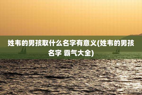 姓韦的男孩取什么名字有意义(姓韦的男孩名字 霸气大全)