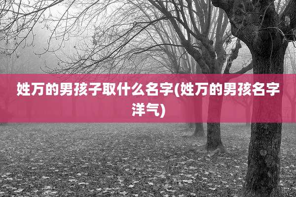 姓万的男孩子取什么名字(姓万的男孩名字洋气)