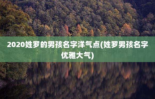 2020姓罗的男孩名字洋气点(姓罗男孩名字优雅大气)