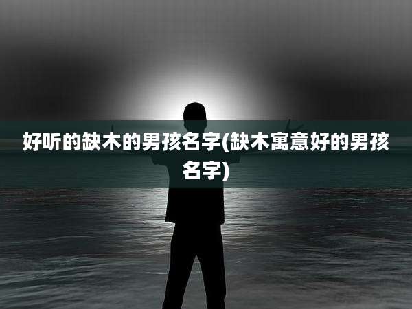 好听的缺木的男孩名字(缺木寓意好的男孩名字)