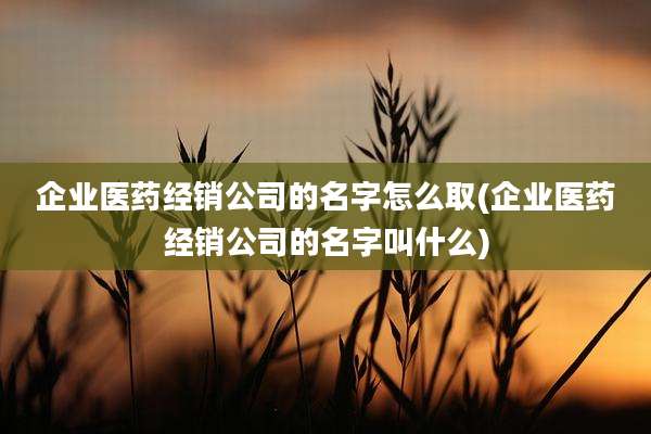 企业医药经销公司的名字怎么取(企业医药经销公司的名字叫什么)