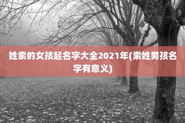 姓索的女孩起名字大全2021年(索姓男孩名字有意义)
