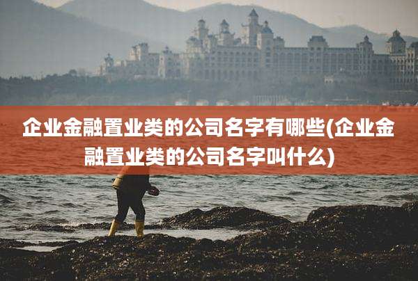 企业金融置业类的公司名字有哪些(企业金融置业类的公司名字叫什么)