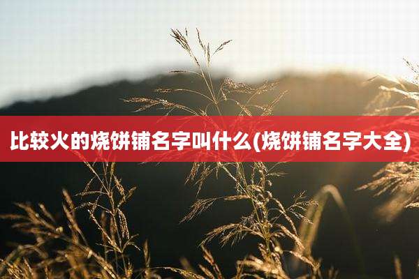 比较火的烧饼铺名字叫什么(烧饼铺名字大全)