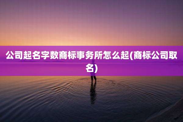 公司起名字数商标事务所怎么起(商标公司取名)