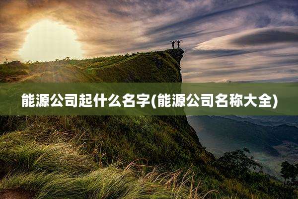 能源公司起什么名字(能源公司名称大全)