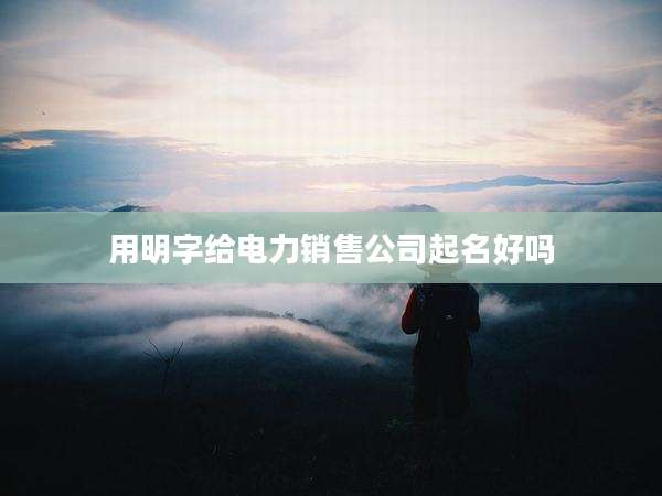 用明字给电力销售公司起名好吗
