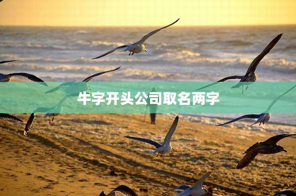牛字开头公司取名两字