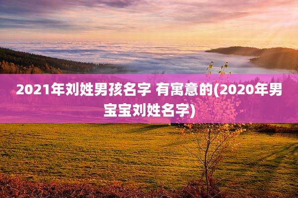2021年刘姓男孩名字 有寓意的(2020年男宝宝刘姓名字)