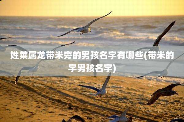 姓莱属龙带米旁的男孩名字有哪些(带米的字男孩名字)