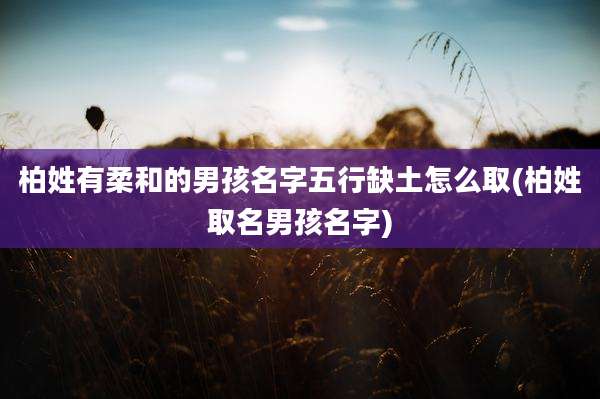 柏姓有柔和的男孩名字五行缺土怎么取(柏姓取名男孩名字)