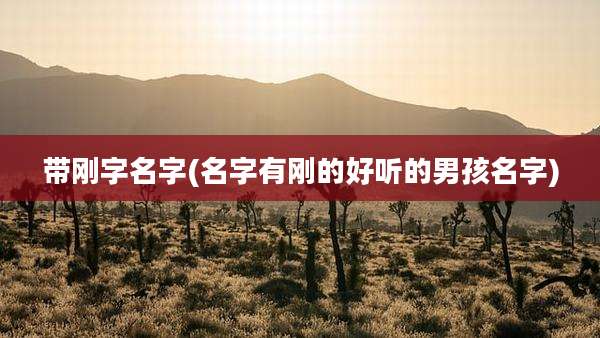 带刚字名字(名字有刚的好听的男孩名字)