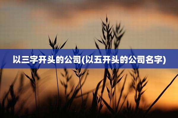 以三字开头的公司(以五开头的公司名字)