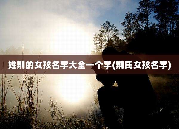姓荆的女孩名字大全一个字(荆氏女孩名字)