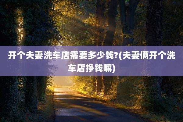 开个夫妻洗车店需要多少钱?(夫妻俩开个洗车店挣钱嘛)