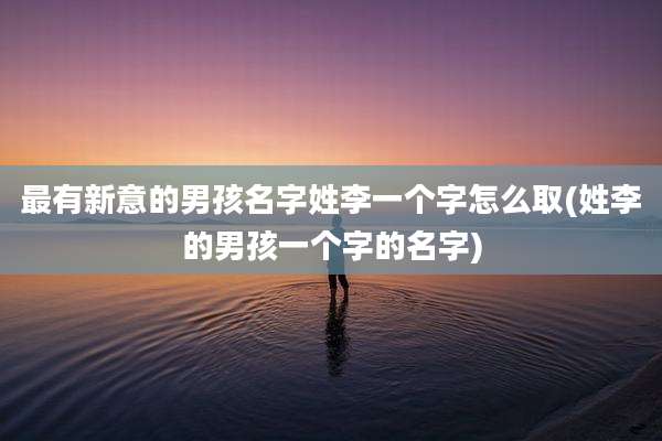 最有新意的男孩名字姓李一个字怎么取(姓李的男孩一个字的名字)