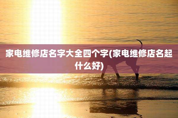 家电维修店名字大全四个字(家电维修店名起什么好)