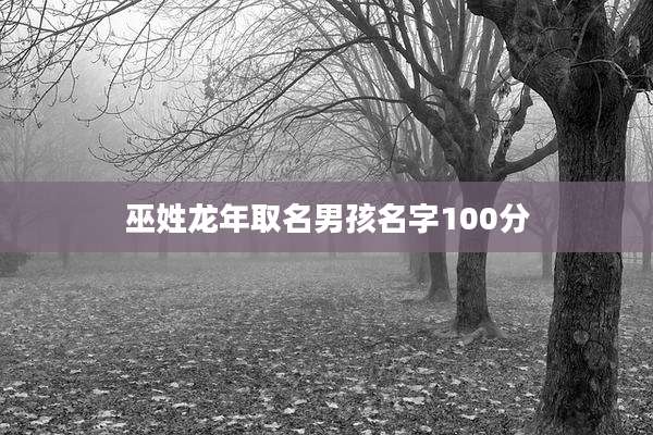巫姓龙年取名男孩名字100分