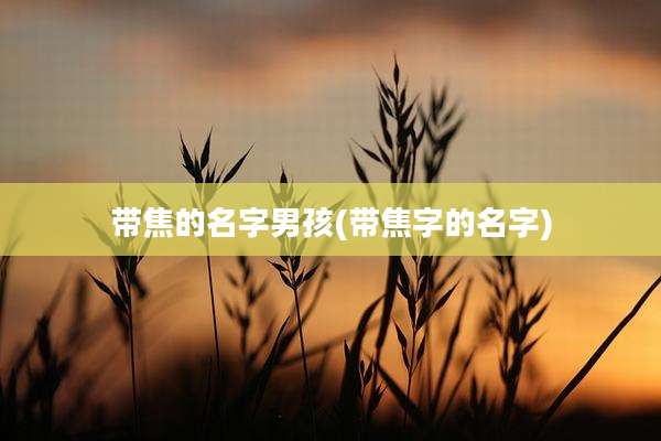 带焦的名字男孩(带焦字的名字)