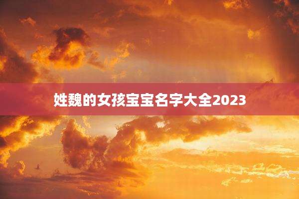 姓魏的女孩宝宝名字大全2023
