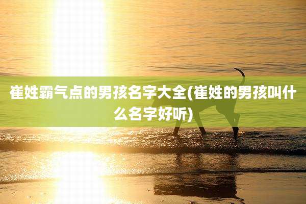 崔姓霸气点的男孩名字大全(崔姓的男孩叫什么名字好听)