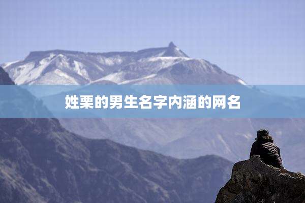 姓栗的男生名字内涵的网名