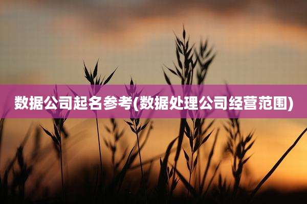 数据公司起名参考(数据处理公司经营范围)