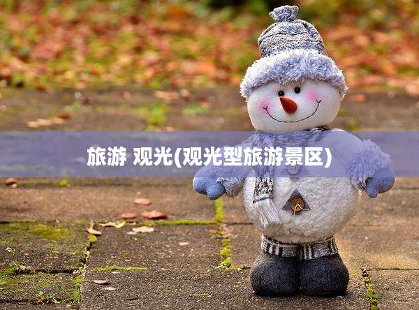 旅游 观光(观光型旅游景区)