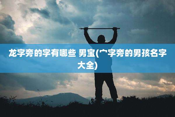 龙字旁的字有哪些 男宝(宀字旁的男孩名字大全)
