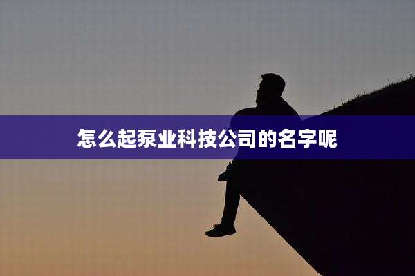 怎么起泵业科技公司的名字呢