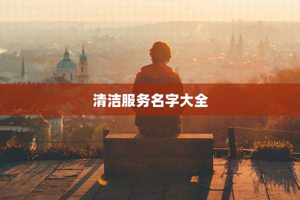 清洁服务名字大全